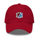 SECT OF TWIN STARS Dad hat