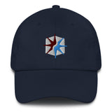 SECT OF TWIN STARS Dad hat
